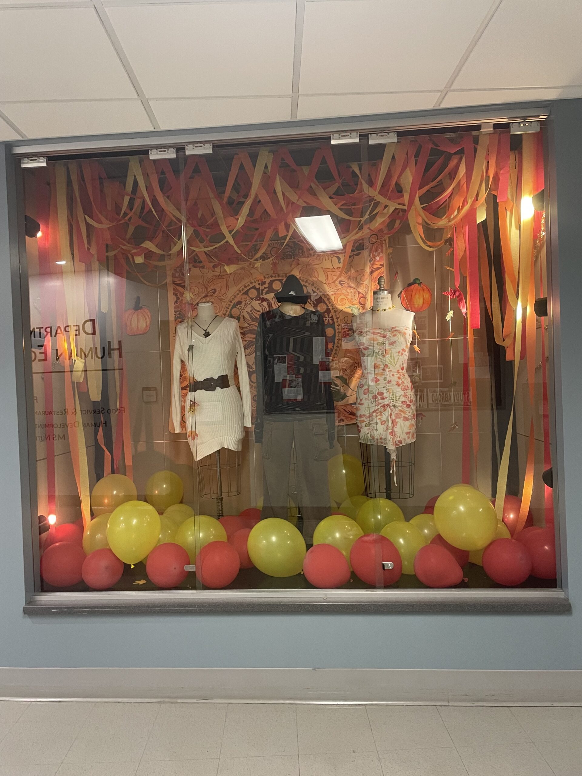 Samantha Habert-Jaques: Window Display