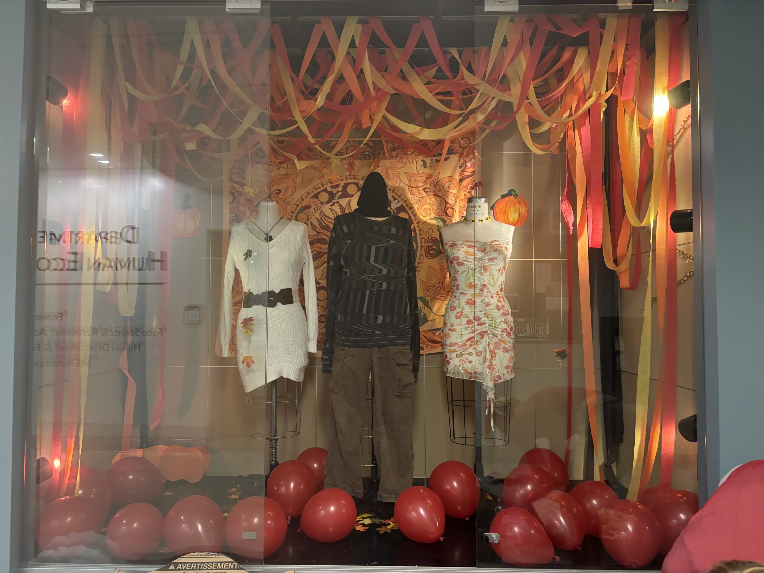 Julia Tiseo: Window Display