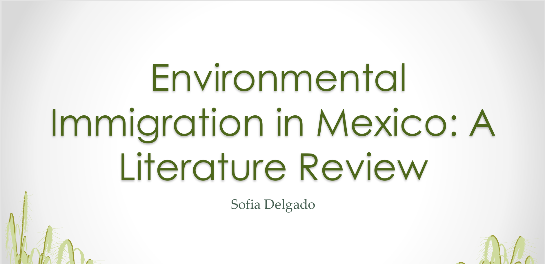 Sofia Delgado: Environmental Migration in Mexico: a literature review